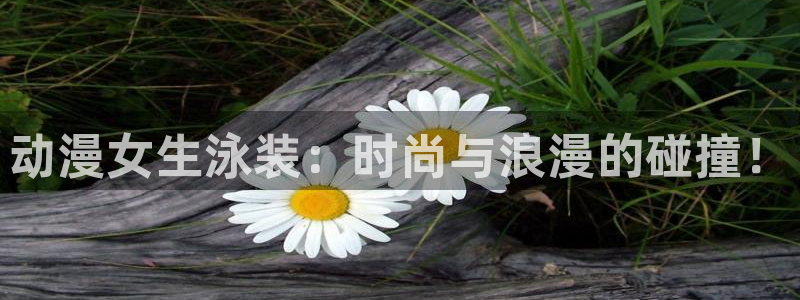 51动漫官网免费下载