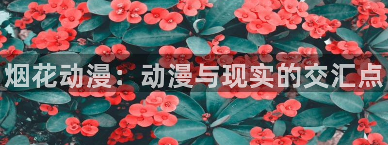 下载51动漫